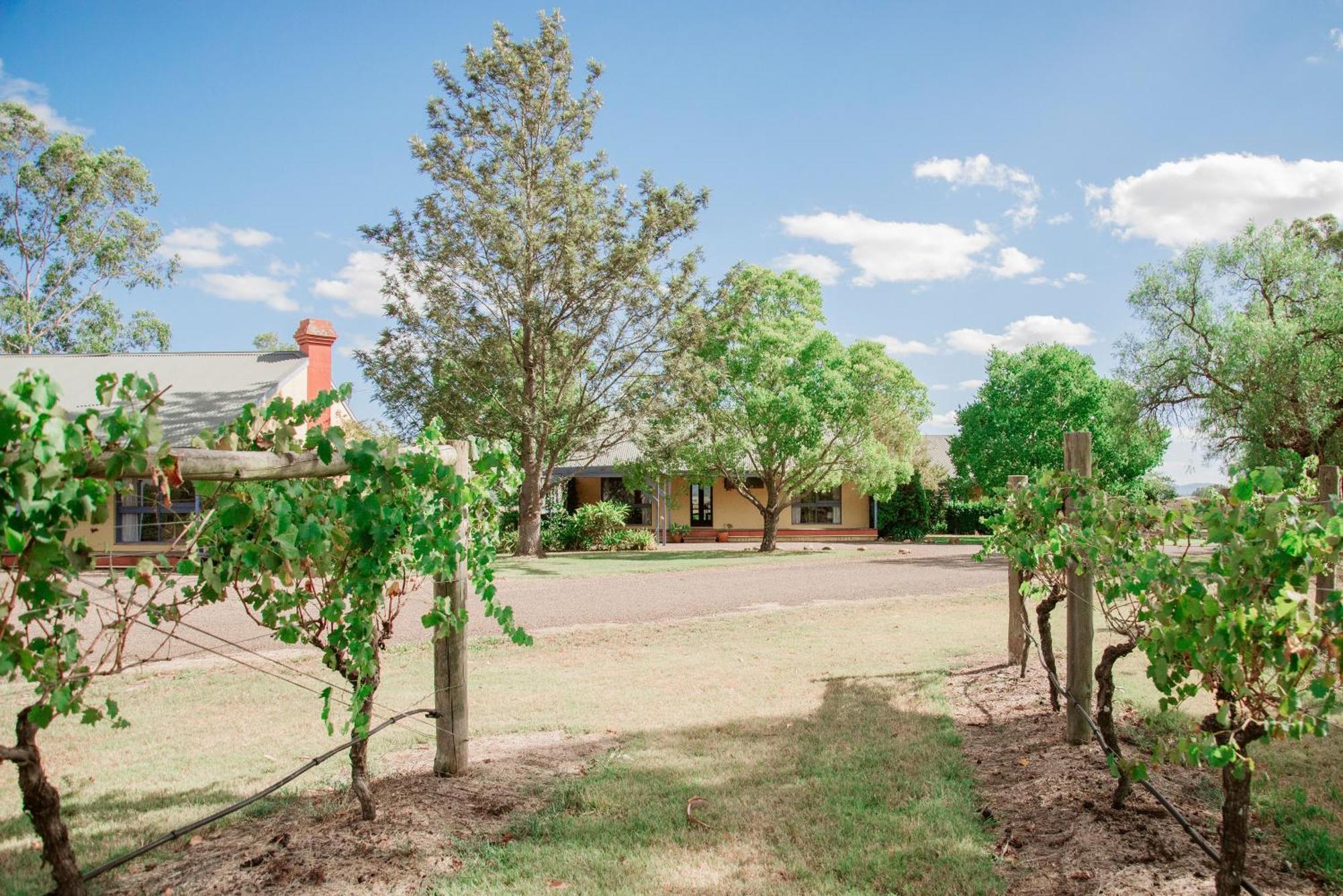 מלון Luskintyre Tranquil Vale Vineyard מראה חיצוני תמונה