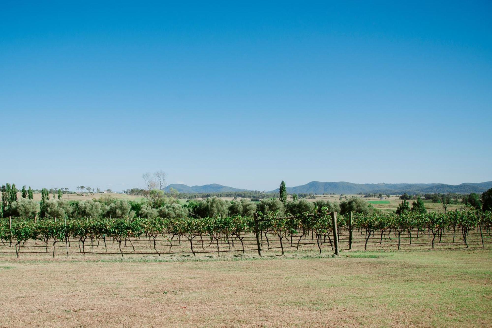 מלון Luskintyre Tranquil Vale Vineyard מראה חיצוני תמונה