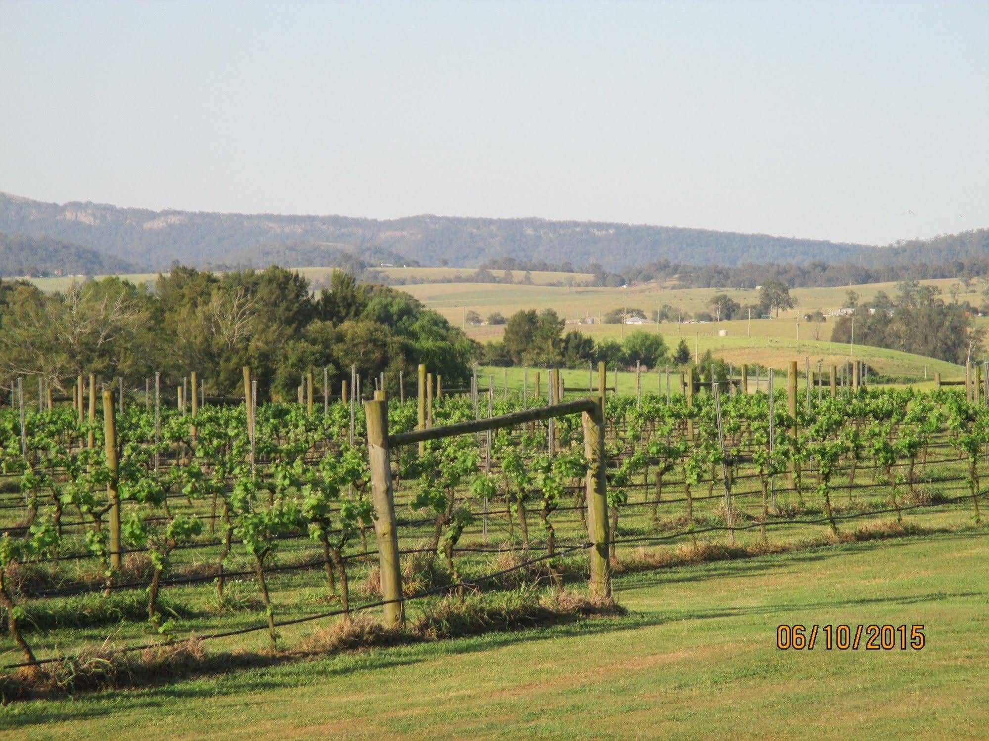 מלון Luskintyre Tranquil Vale Vineyard מראה חיצוני תמונה